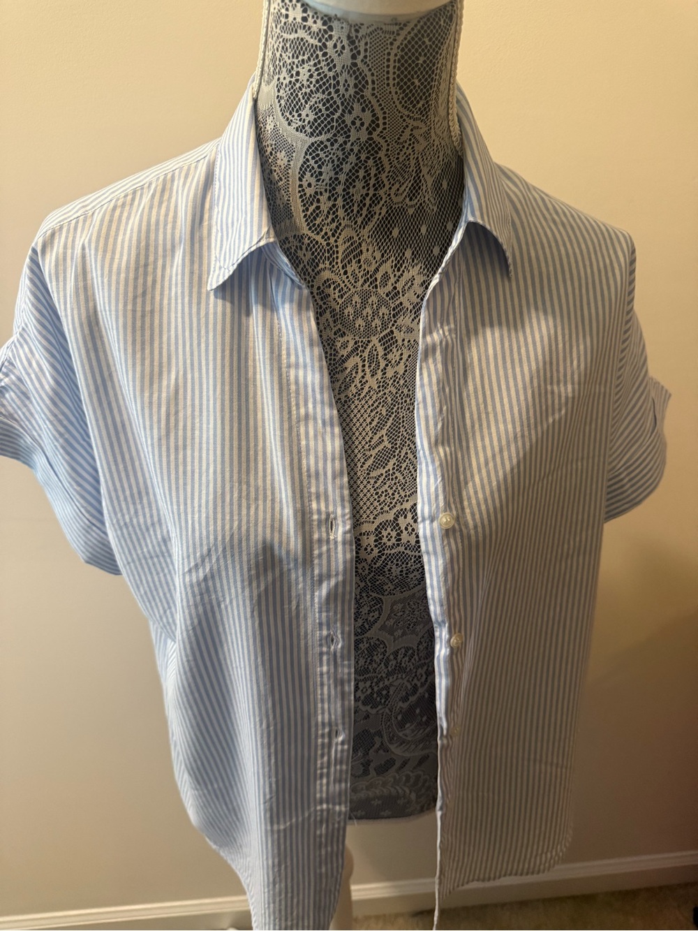 Crisp Blue & White Striped Short-Sleeve Button-Up